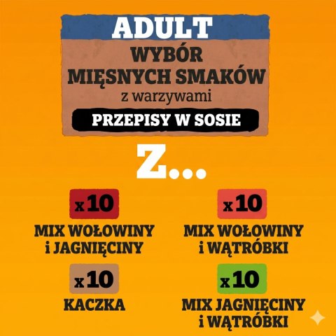 PEDIGREE Dogcare Karma dla psa w saszetkach - Kawałki w sosie, dla dorosłych psów (Adult)