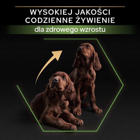 Purina Pro Plan Large Puppy Athletic Optistart Kurczak I Ryż 12kg