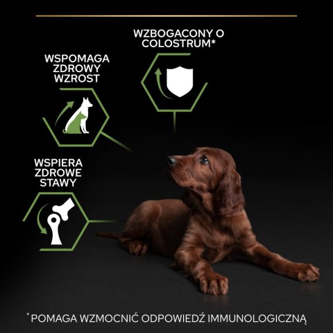 Purina Pro Plan Large Puppy Athletic Optistart Kurczak I Ryż 12kg