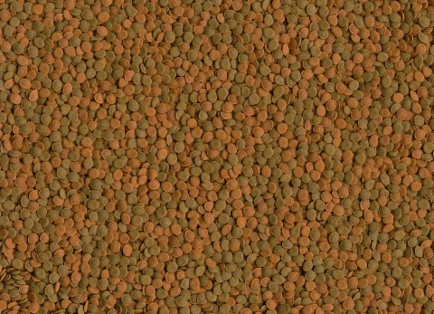 Tetra Wafer Mini Mix 100ml