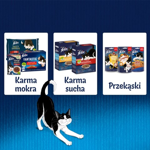 Felix Fantastic Kurczak W Galaretce 85g
