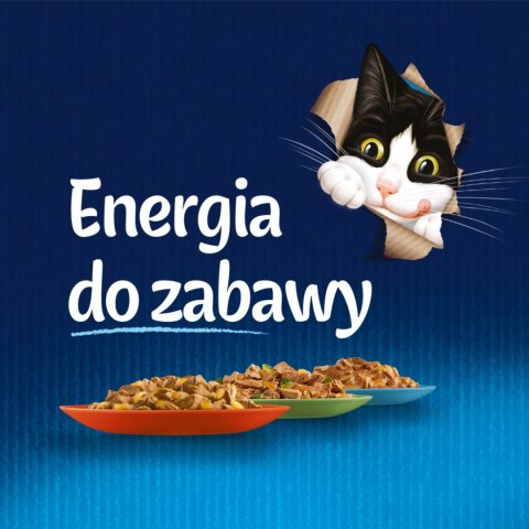 Felix Fantastic Łosoś W Galaretce 85g