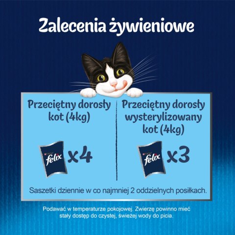 Felix Fantastic Rybne Smaki W Galaretce 12x85g
