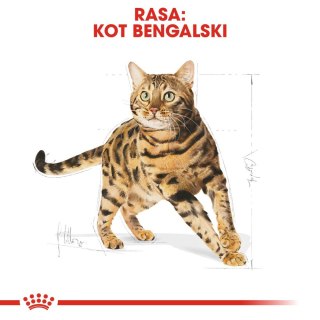 ROYAL CANIN Bengal Adult 10kg