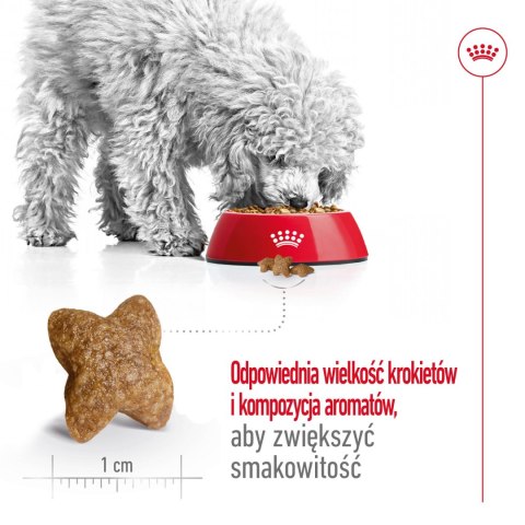 ROYAL CANIN Mini Adult 8kg