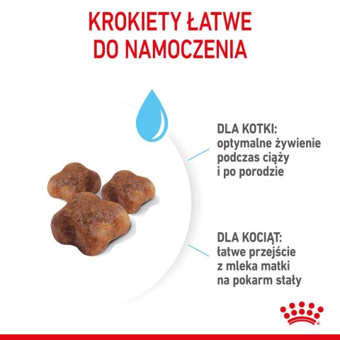 ROYAL CANIN Mother & Babycat 4kg