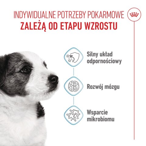 ROYAL CANIN Mini Puppy 8kg