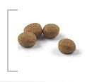 ROYAL CANIN Sterilised 37 400g