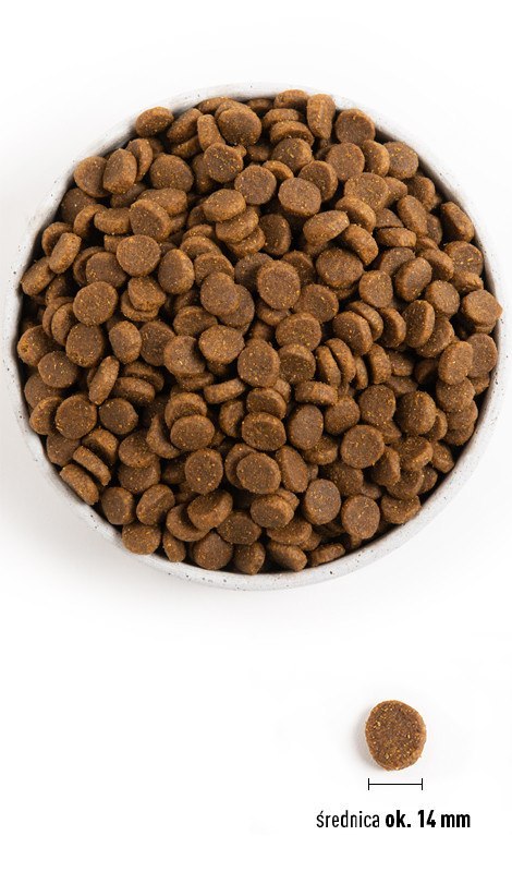 Acana Heritage Adult Dog 17kg