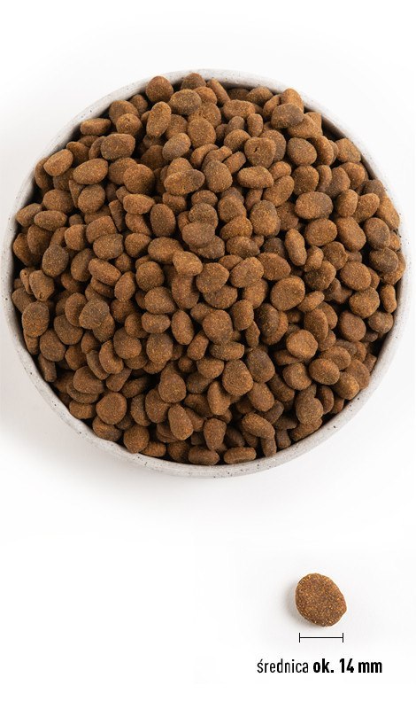 ORIJEN Tundra Dog 11,4kg