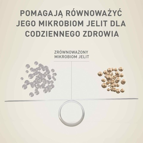 PURINA ONE Mini Delicate Łosoś, ryż - sucha karma dla psa - 800 g