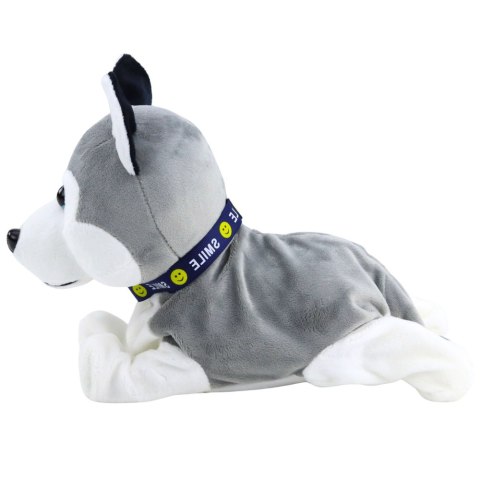 Pies Pluszowy Na Baterie Interaktywny Husky Porusza Się Wydaje Dźwięki