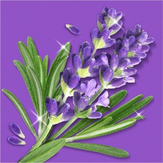 Mr.Propre Lavendel & Rozemarijn Spray Multifunkcyjny 800 ml