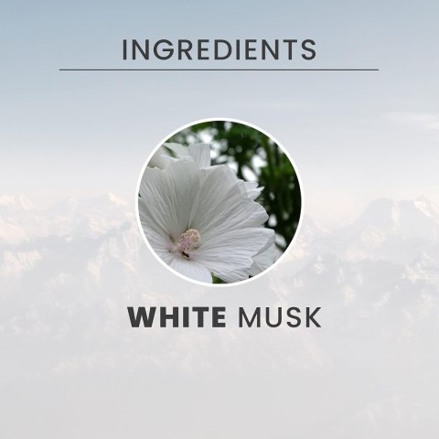Tesori d'Oriente Muschio Bianco Mgiełka do Ciała 200 ml