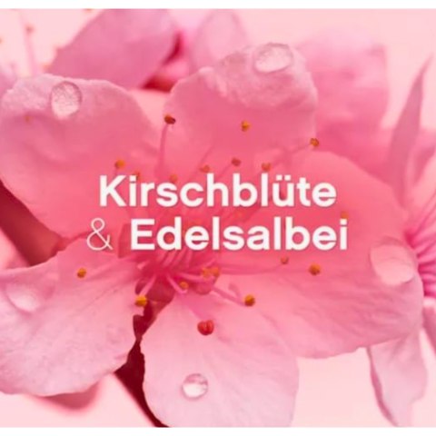 Lenor Kirschblüte & Edelsalbei Płyn do Płukania 59 prań DE
